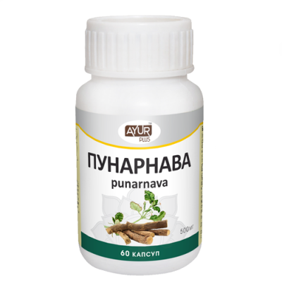 Пунарнава Аюр Плюс (Punarnava Ayur Plus), 60 капсул