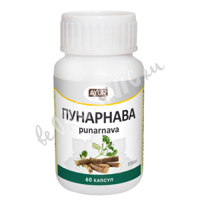 Пунарнава Аюр Плюс (Punarnava Ayur Plus), 60 капсул